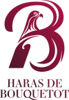 logo-haras-bouquetot