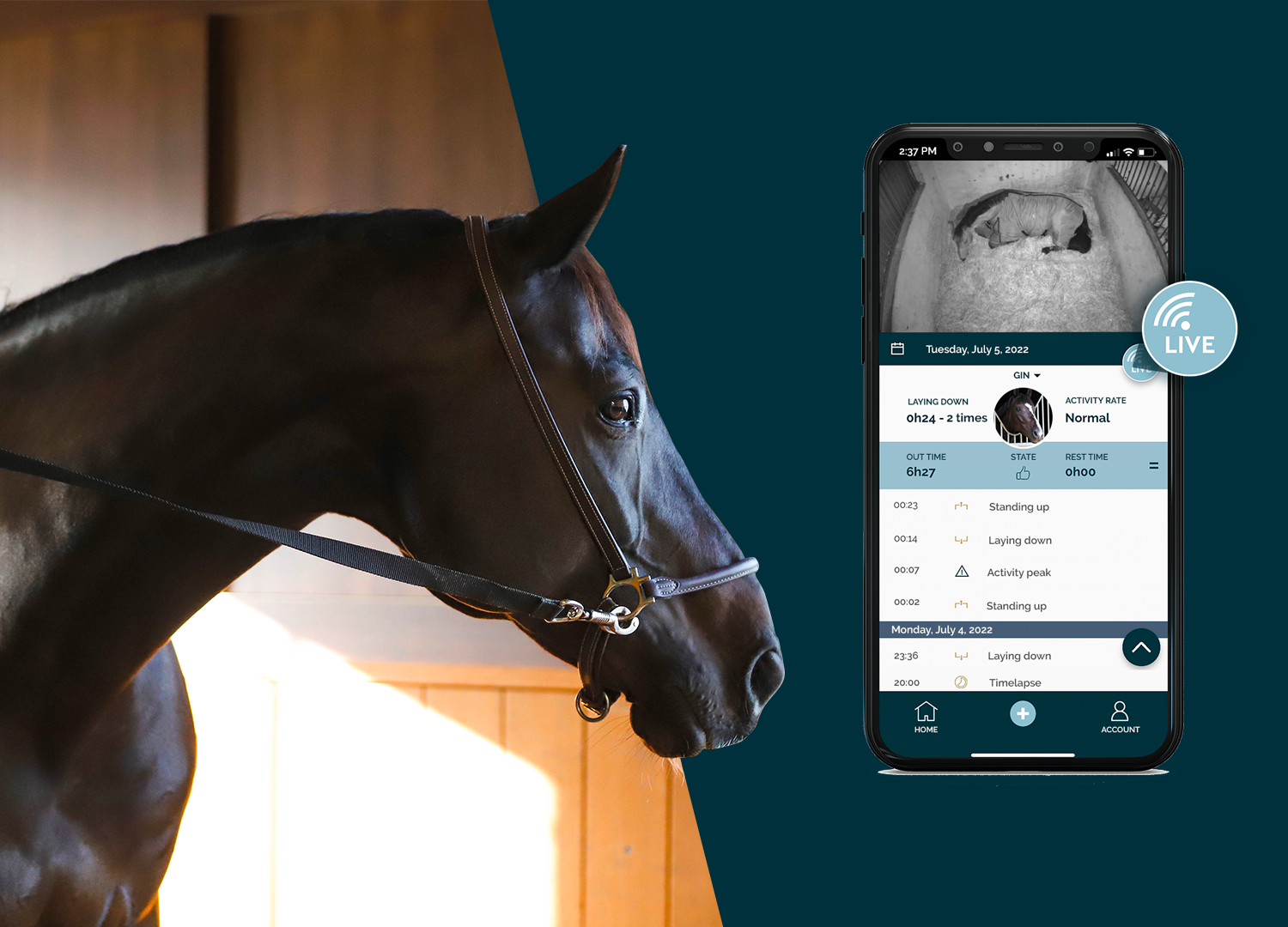 sante-bien-être-live