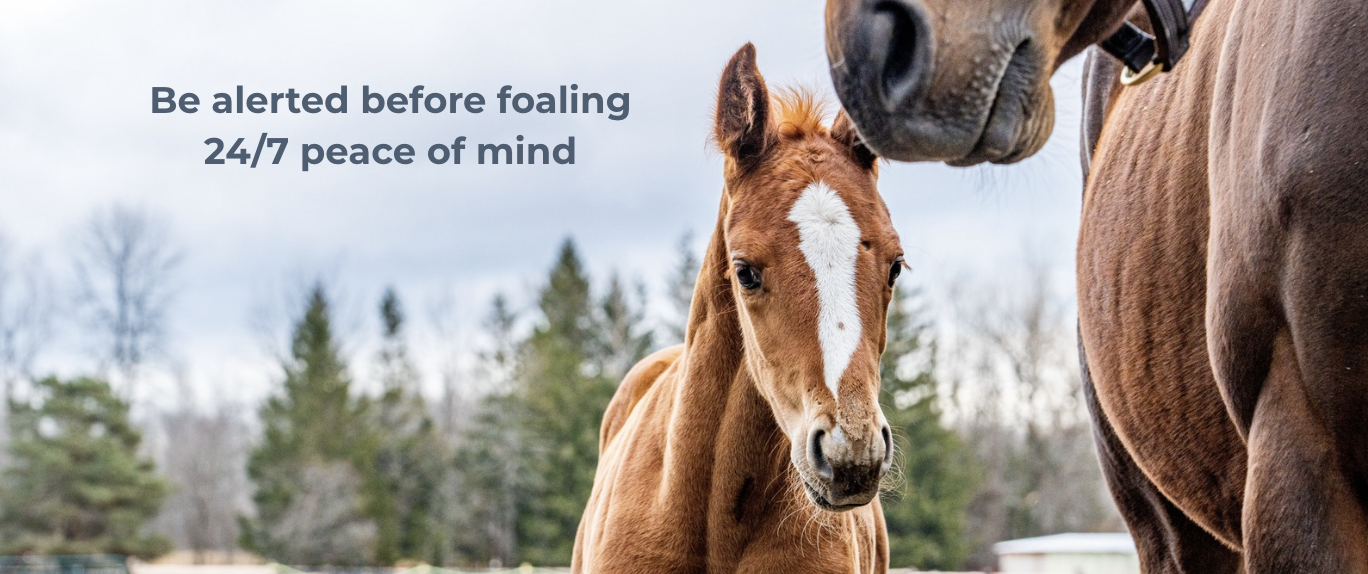 Capture d’écran 2025-08-28 à 12.16.03