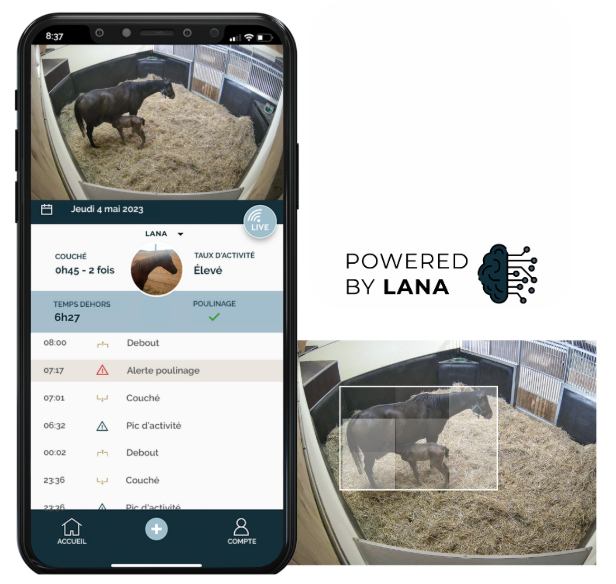 Screenshot 2025-09-08 at 14.10.09